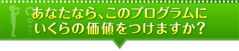 あなたなら、このプログラムにいくらの価値をつけますか？